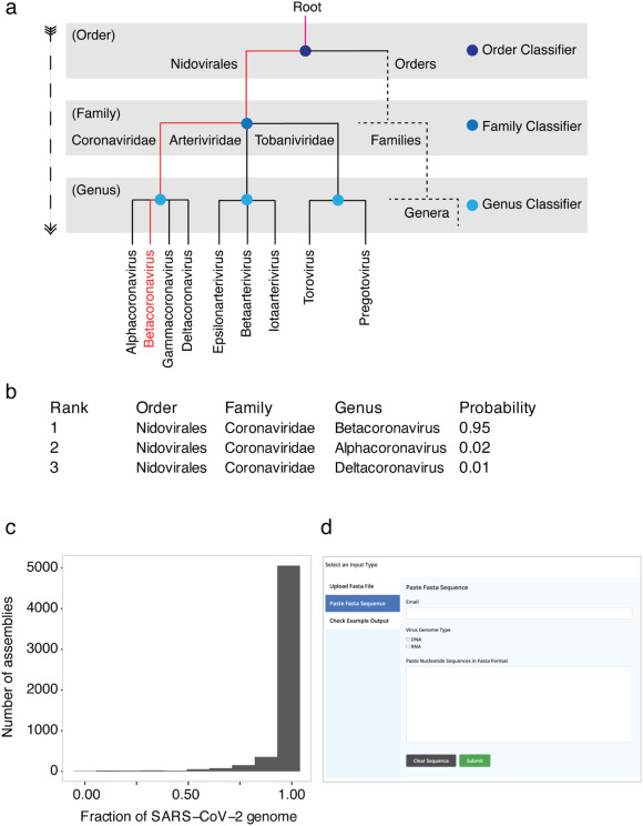 Benchmarking of VirusTaxo for SARS-CoV-2 genomes includes: a) Schematic representation of hierarchical prediction of taxonomic ranks of SARS-CoV-2 genome using VirusTaxo, classifying the order, family, and genus, highlighted in red; b) Ranking by Softmax probability at genus level for the SRR10971381 assembly; c) Distribution of the fraction of genome assembled in 5793 assemblies of SARS-CoV-2 genome; d) Screenshot of the VirusTaxo web interface (https://omics-lab.com/virustaxo). (For interpretation of the references to color in this figure legend, the reader is referred to the web version of this article.)
