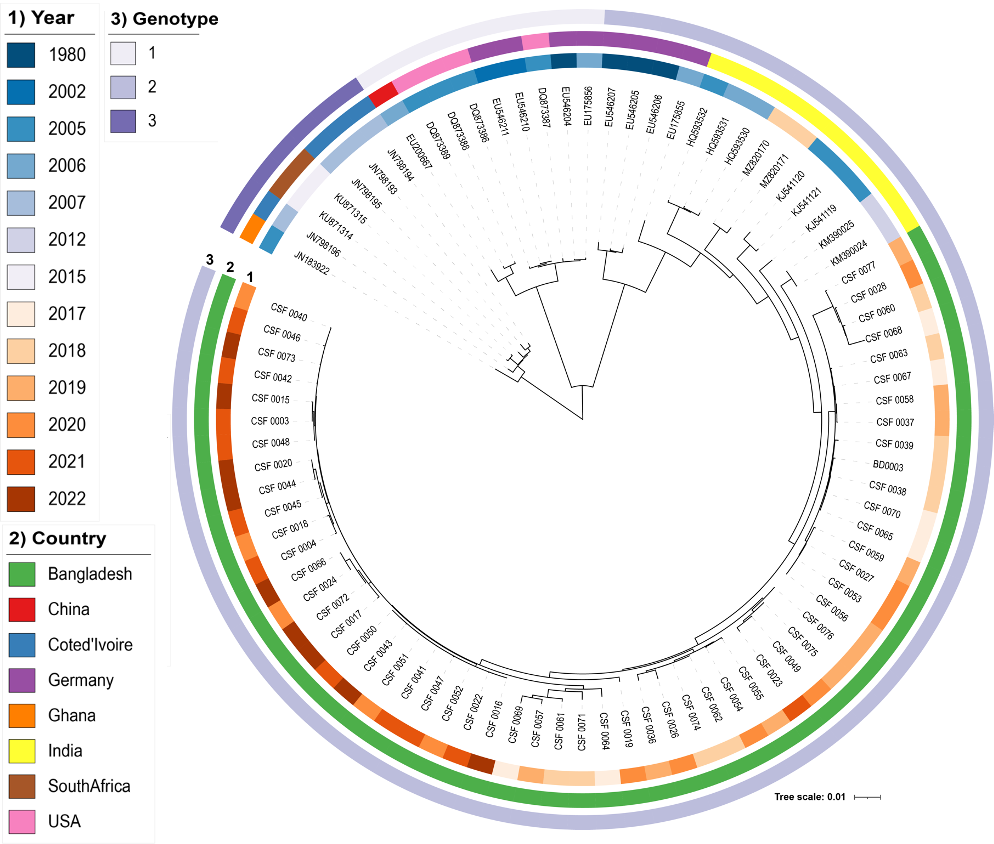 Phylogenetic Tree of PARV4